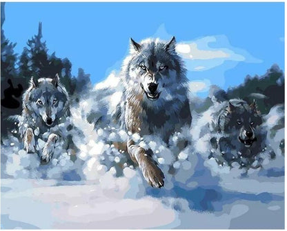 Wolf Race - DIY Painting By Numbers Kits