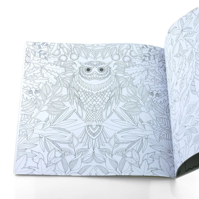 24 Pages Coloring Book For Children